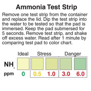 Ammonia test strips